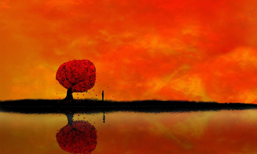 东莞笙影微信朋友圈转发案例