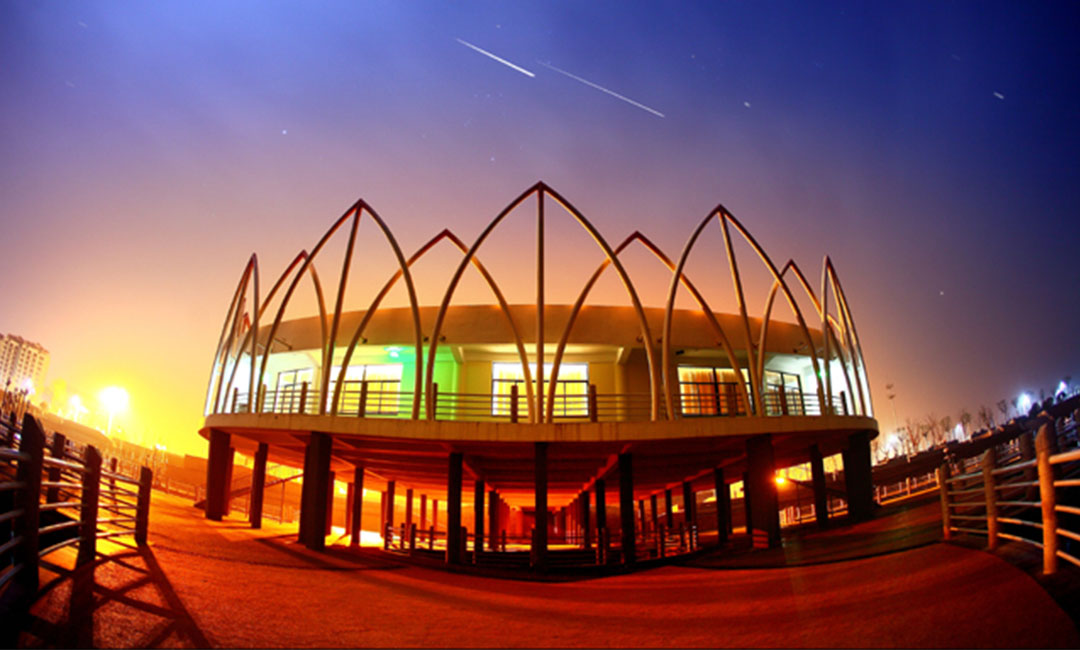 东莞莲花广场活动策划案例